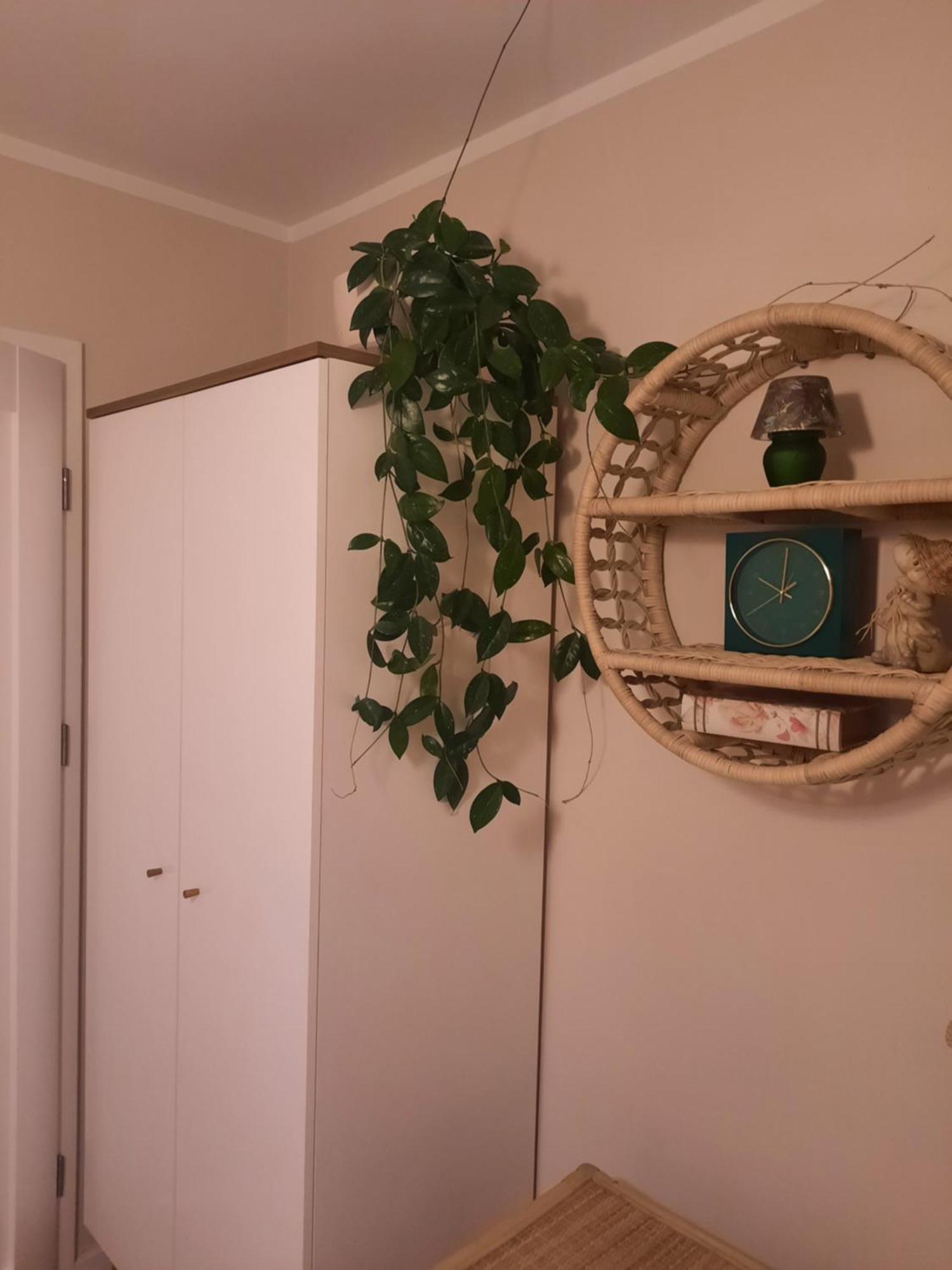 Apartament Jak W Domu Zamość المظهر الخارجي الصورة