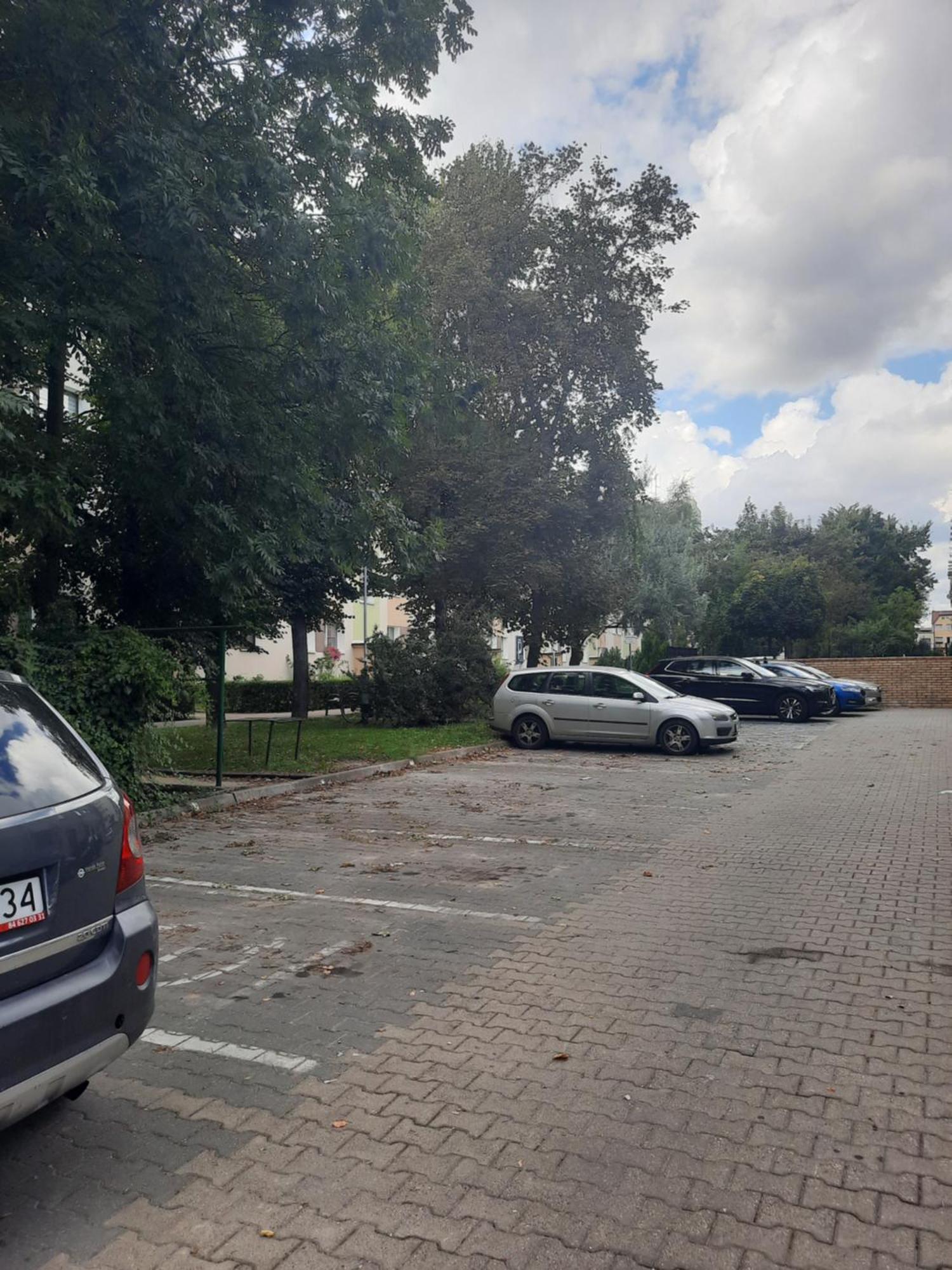 Apartament Jak W Domu Zamość المظهر الخارجي الصورة
