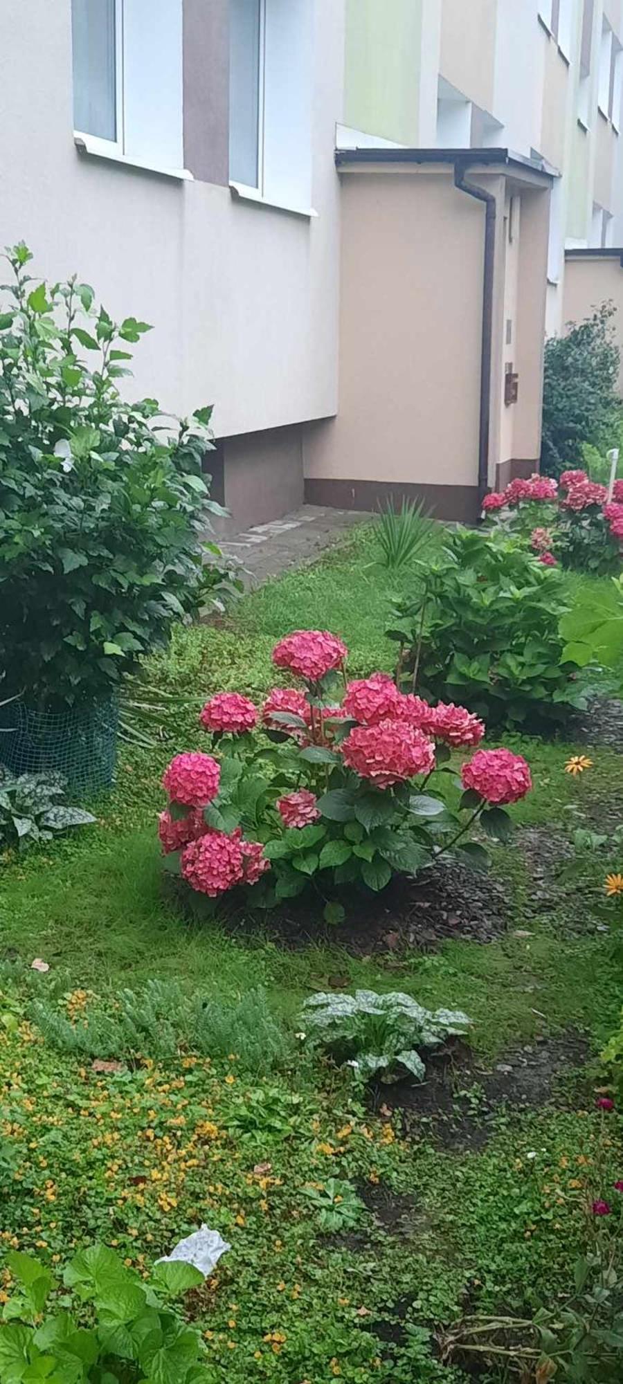 Apartament Jak W Domu Zamość المظهر الخارجي الصورة